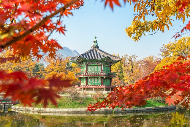 Golden and red autumn leaves in Seoul