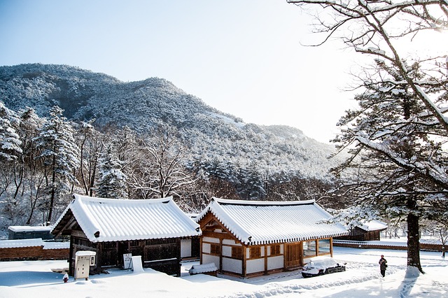 House cover with snow in Winter